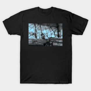 Chickadee on the fence illustration T-Shirt